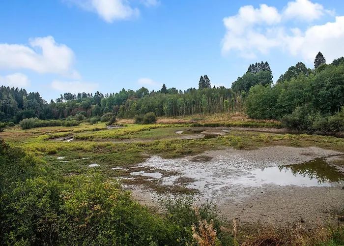 Nyaraló In Bullingen With Garden Bullange